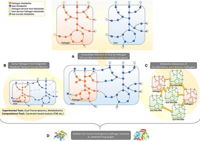 Novel Approaches for Systems Biology of Metabolism-Oriented Pathogen-Human Interactions: A Mini-Review